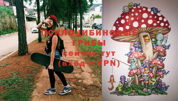 ALPHA PVP Алексеевка